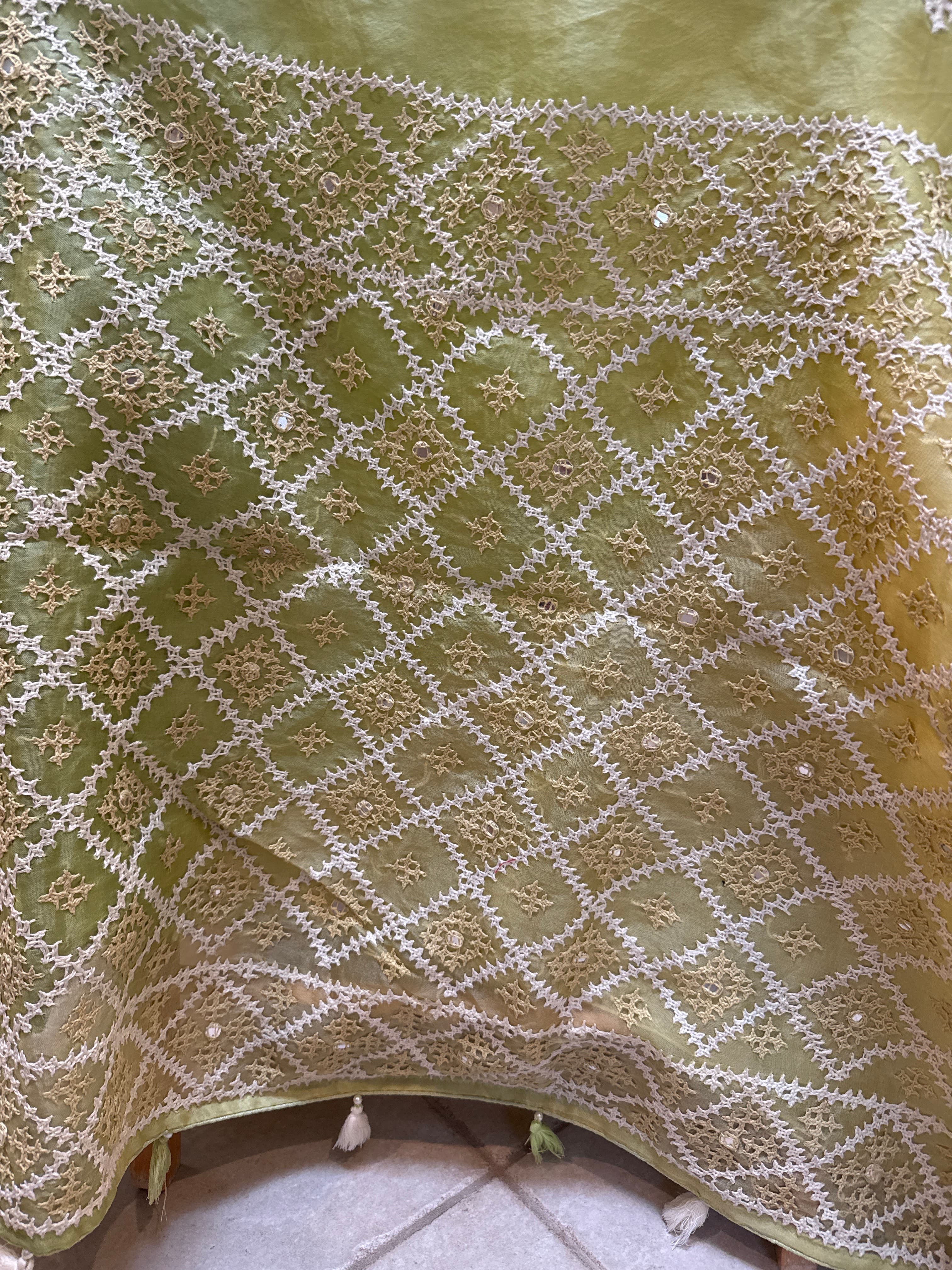Elegant Lime Green Organza Saree with Intricate Thread and Mirror Work